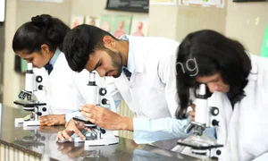 Universal High School Gallery 1