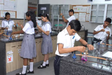 Ramniwas Bajaj English High School Gallery
