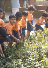 Sanskar Public School Gallery