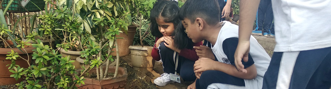 Smt. Sulochanadevi Singhania School Gallery 1