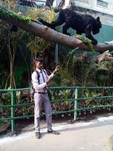 Saraswat Kshatriya Vidyalaya Gallery