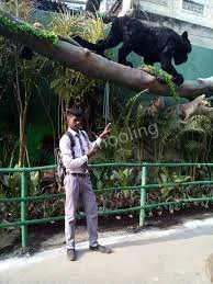 Saraswat Kshatriya Vidyalaya Gallery 2