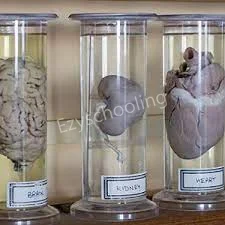 Nargund Independent Pre-University College Gallery 1