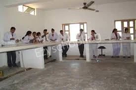 Summerfield School Gallery 2