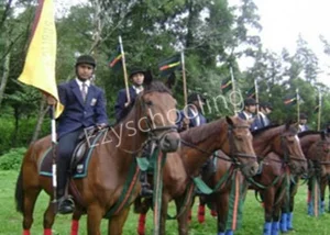 Assam Rifles Public School Gallery 3