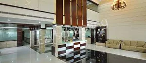 Tolins World School Gallery 5