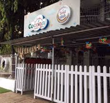Cocoon Preschool Gallery