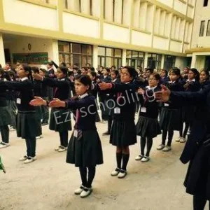 Gold Field Public School Gallery 19