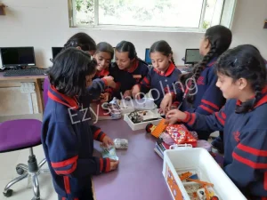 Ivy International School Gallery 7