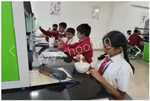 National Public School Gallery 13