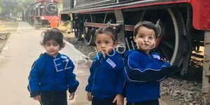 Modern Montessori International Preschool Gallery 5