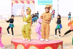 Lovely Public Senior Secondary School Gallery 6