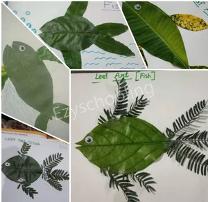 New Creations Public School Gallery 23