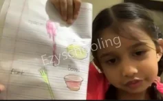 The Real School Gallery 4