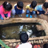 The Montessori School Gallery