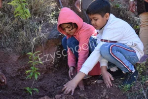 The Plenum School Gallery 12