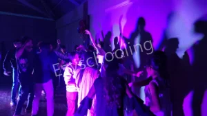 The Plenum School Gallery 6