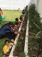 VSPK International School Juniors Gallery