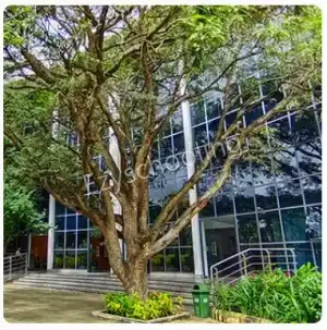 DPS Bangalore West Gallery 7