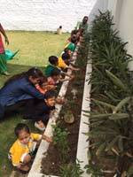 VSPK International School Juniors Gallery