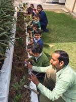 VSPK International School Juniors Gallery