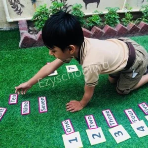 De Indian Public School Gallery 17