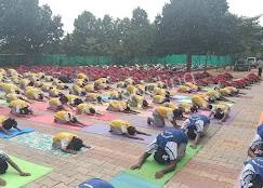 Endeavour's International School Gallery 7