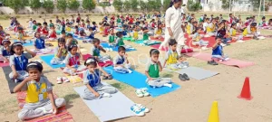 Pioneer Public School Gallery 4