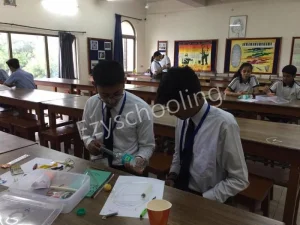 Mayo College Girls School Gallery 6