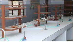 M G M Co-Ed Higher Secondary School Gallery 1