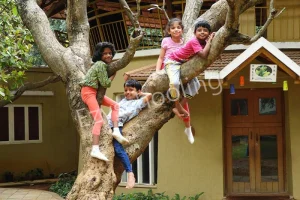 Auro Mirra International School Gallery 3