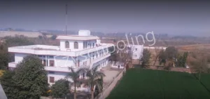 Apex Public School Gallery 2