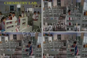 Saint Soldier Public School Gallery 5