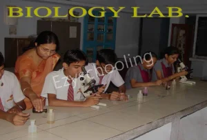 Saint Soldier Public School Gallery 4