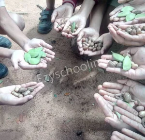 Silicon Valley School Gallery 2