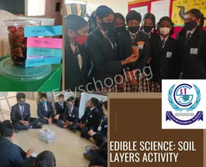 CS International School Gallery 4