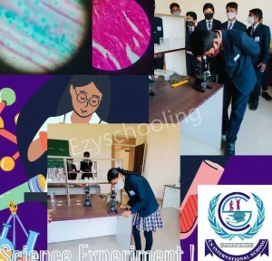 CS International School Gallery 1