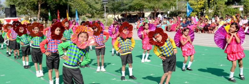 Green Valley Public School Gallery 2