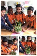 Poorna Vikasa Vidyalaya Poorna Vikasa Vidyalaya Gallery
