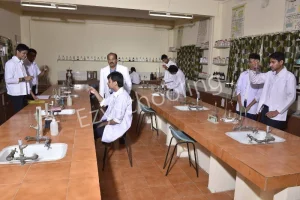 Pioneer Convent School Gallery 13