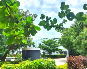 Crescent School Gallery 10