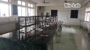 National Public School Gallery 14