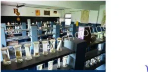 Mother Teresa Senior Secondary Co-Ed School Gallery 6