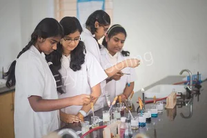 National Public School Gallery 3