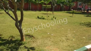 Delhi Public School Gallery 3