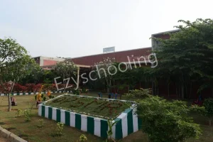 Delhi Public School Gallery 2