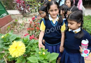 Sushila Birla Girls School Gallery 2