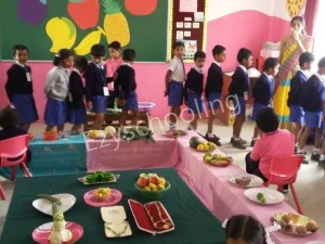 Sri Aurobindo Public School Gallery 2
