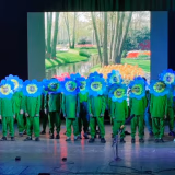 Albany Hall Public School Gallery