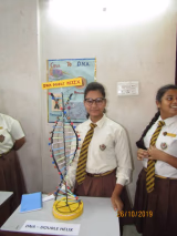 Julien Day School Gallery